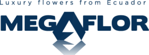 Shop Megaflor – Rosas – Ranunculos Ecuador
