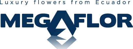 Shop Megaflor – Rosas – Ranunculos Ecuador