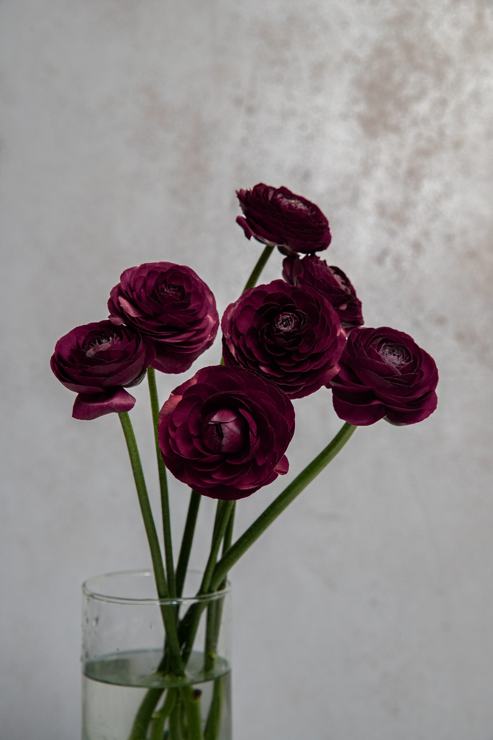 IMG_7630-2 IMG_7630-2