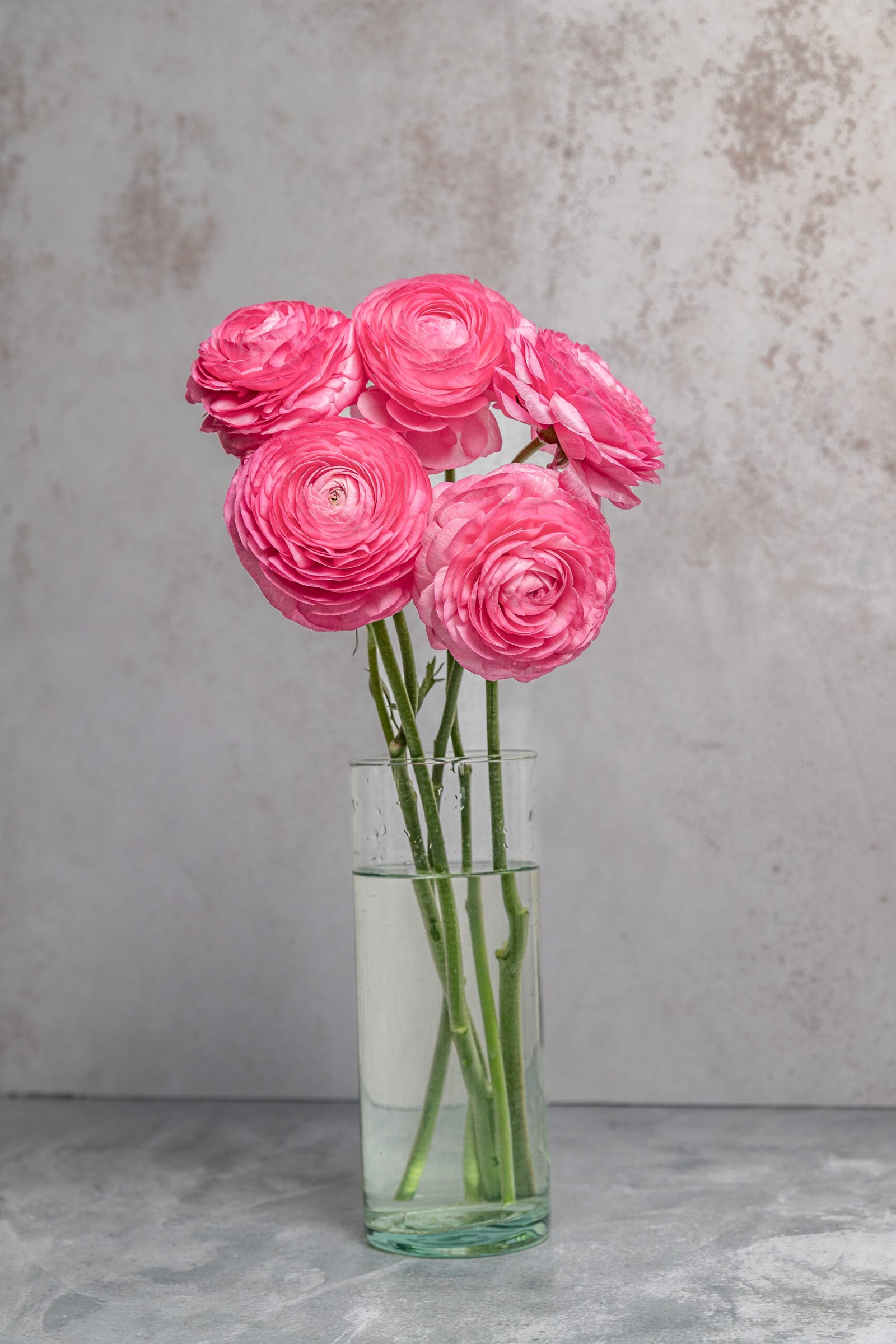 IMG_7673-2 IMG_7673-2