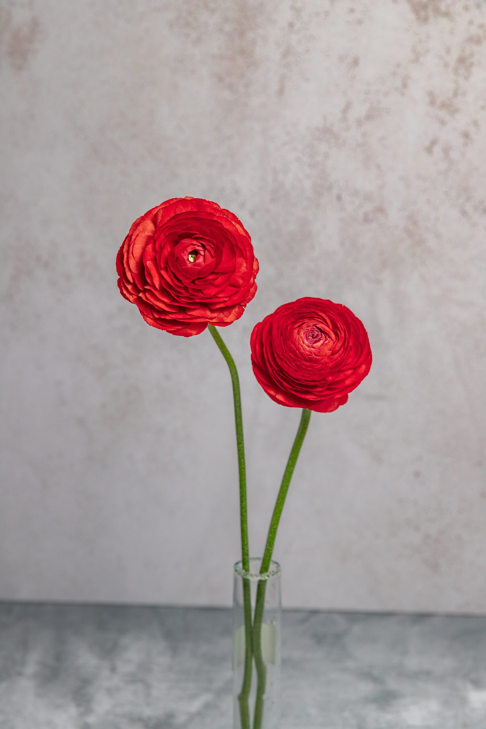 IMG_7712-2 IMG_7712-2