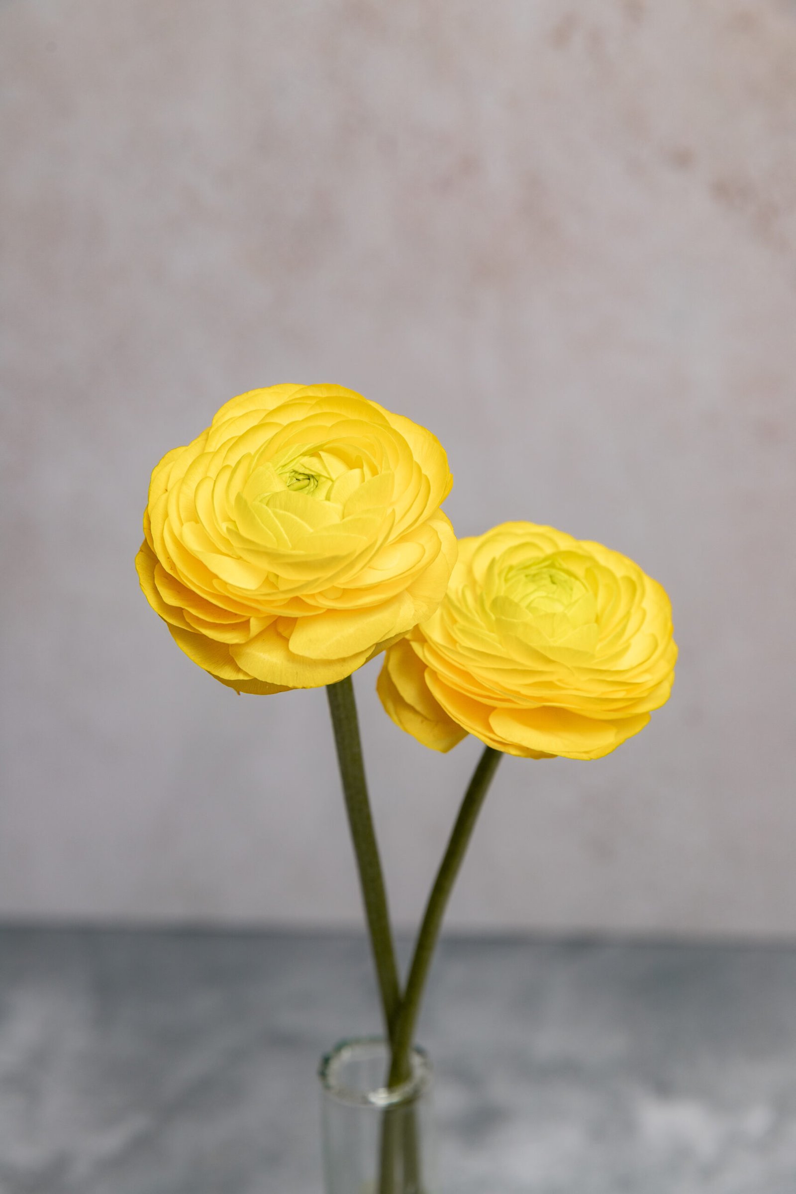 IMG_7737-2 IMG_7737-2