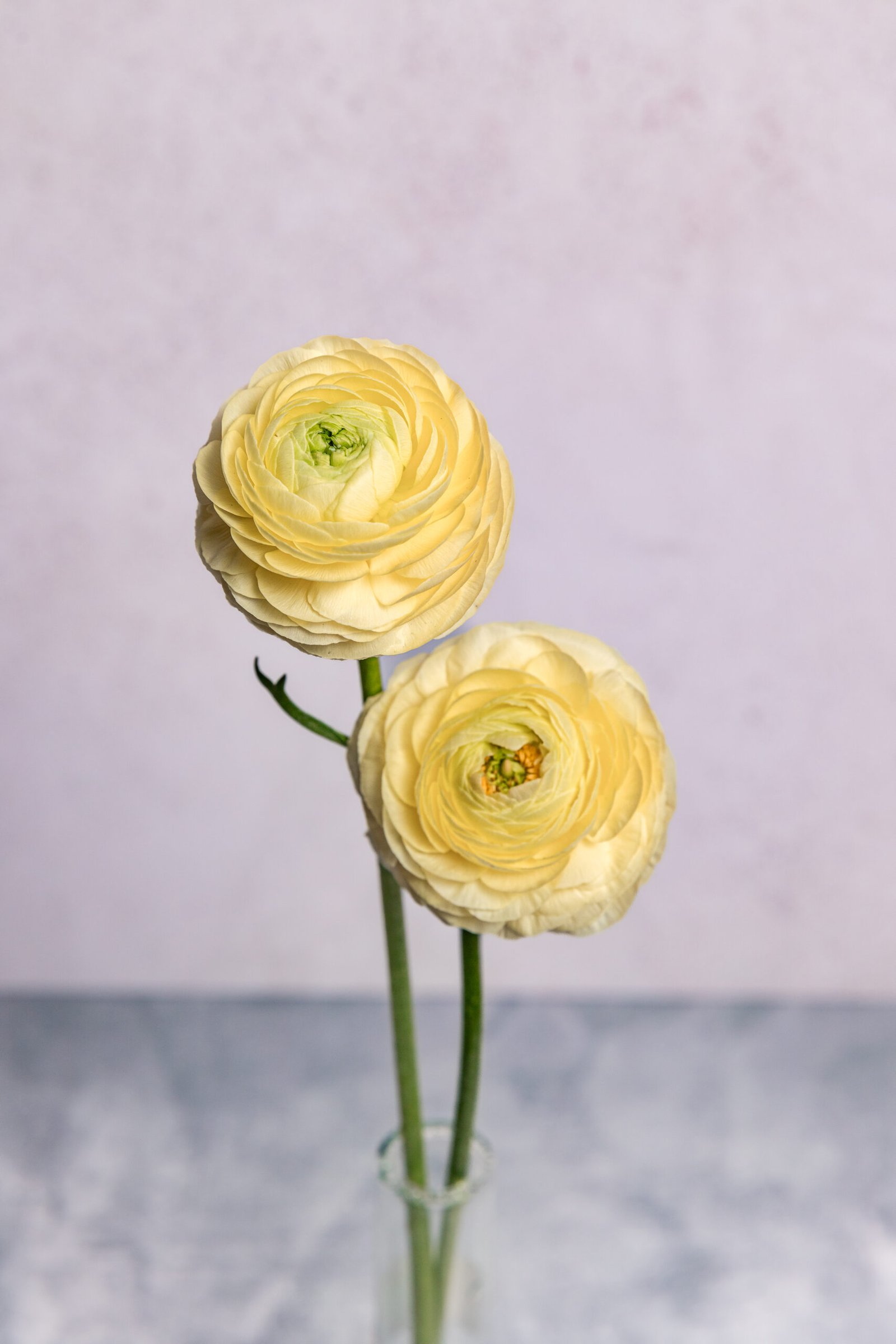 IMG_7805-2 IMG_7805-2