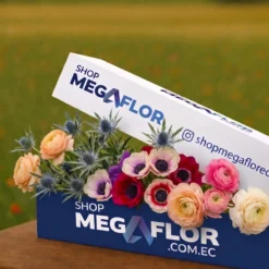 Ocean Bloom Box