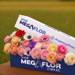 Premium Ranunculus Mix